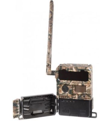 FOTOTRAPPOLA NUMAXES PIE1067