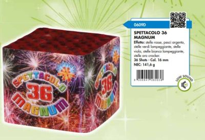 SPETTACOLO 36 MAGNUM - 36 COLPI - DURATA 35 SEC. 