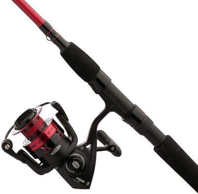 PENN FIERCE IV SPINNING COMBO