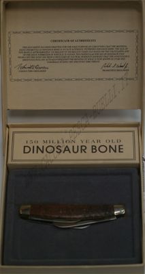 CAMILLUS DINOSAUR BONE 4 ACCESSORI