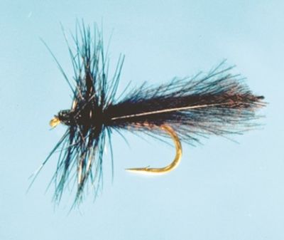 DEVAUX CARLITTE - A10