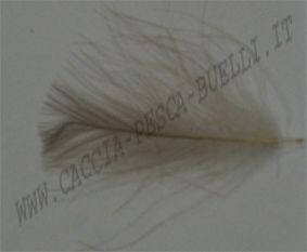 DEVAUX CUL DE CANARD - NOIS