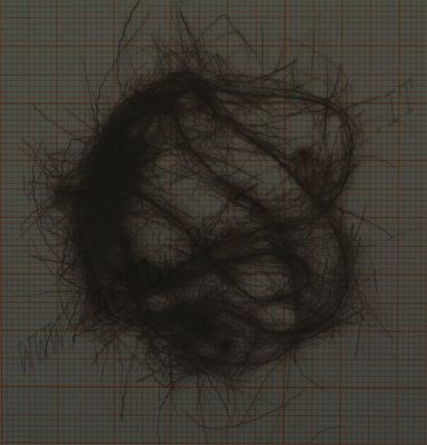 PALU' DUBBING FINE 2/10-12