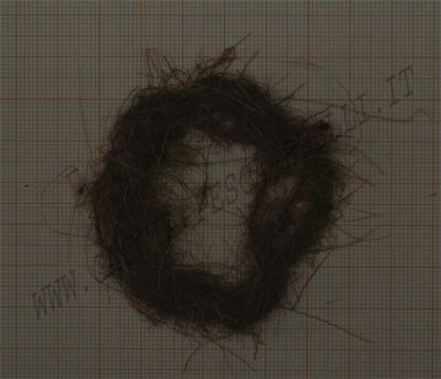 PALU' DUBBING FINE 3-II/12-8