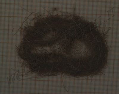 PALU' DUBBING FINE 2-II/12-8