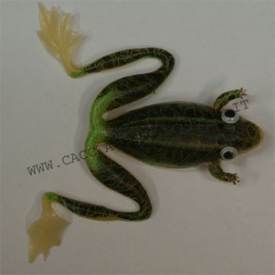 RANA FROG 6CM VERDE