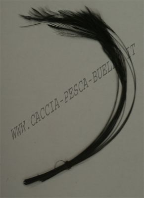 VENIARD CODA + BODY BLACK