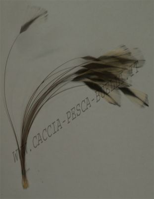 VENIARD CODA + BODY NERO