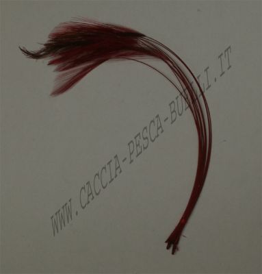 VENIARD CODA + BODY ROSSO