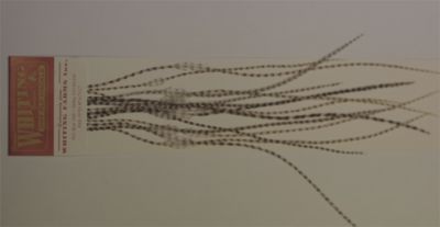 WHITING FARM HACKLES - SIZE18 - GRIZZLY