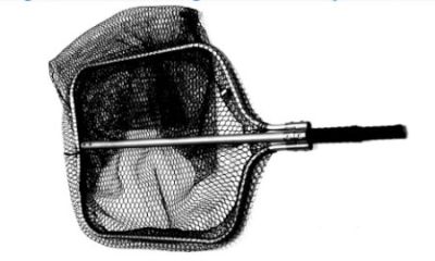 GRANDE GUADINO ROBUSTO