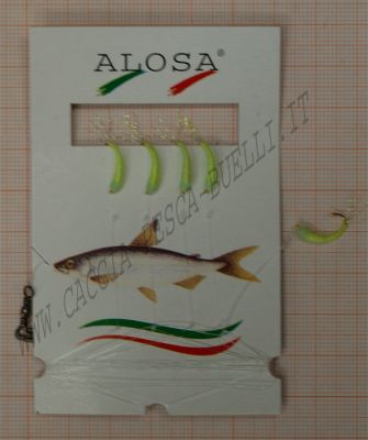 ALOSA AMETTIERA 5 AMI VERDE HOLOGRAFIC