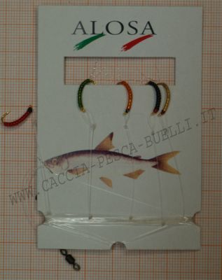 ALOSA CAMOLERA 5 AMI VARI COLORI