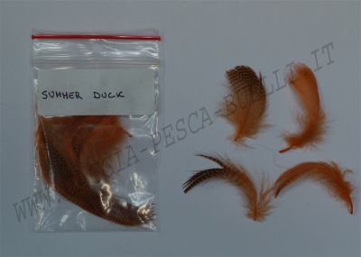 ALZAVOLA SUMMER DUCK