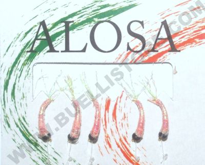ALOSA - MONTATURA PER SARDINA - TESTINA ROSSA - CORPO OLOGRAFICO ROSA - CODE VERDI - PH02