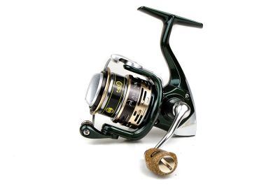 FAVORITE - ARENA - MULINELLO DA TROUT AREA