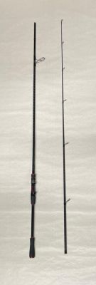 CANNA USATA DAIWA NINJA EVOLUTION - 2.44 MT - 20-60 G