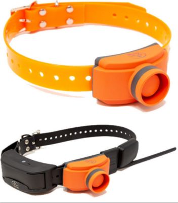 CANICOM - SPORTDOG - BEEPER PER TEK