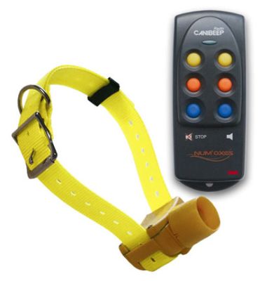 CANIBEEP RADIO PRO - COLLARE + TELECOMANDO