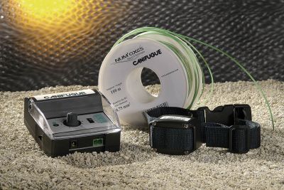 CANIFUGUE - RECINTO ELETTRONICO