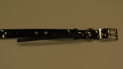 COLLARE IN BIOTHANE 5CM PER CANICOM 5 COL: NERO