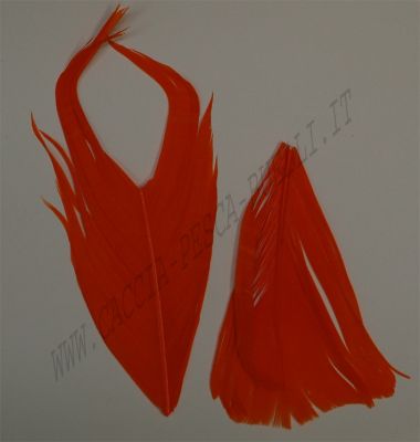 VENIARD CONDOR ARANCIO