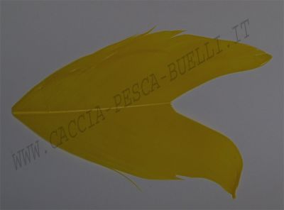 VENIARD CONDOR GIALLO