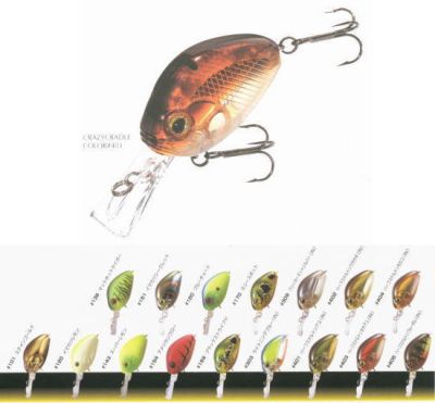 EVER GREEN CRAZY CRADLE