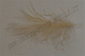 DEVAUX CUL DE CANARD - BEIGE DORE'