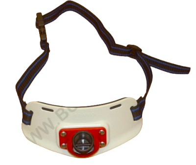 STONFO CINTURA DA COMBATTIMENTO MODELLO TRAINA CON BICCHIERINO BASCULANTE 