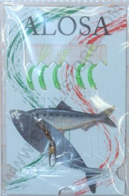 ALOSA AMETTIERA 5 AMI COLORE VERDE CON CRYSTAL FLASH ANCHE SUL CORPO - MA8