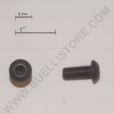 VITE CON FILETTO 5/16'' LUNGHEZZA 1'' PER FISSAGGIO DRAGONA AD ARCO 