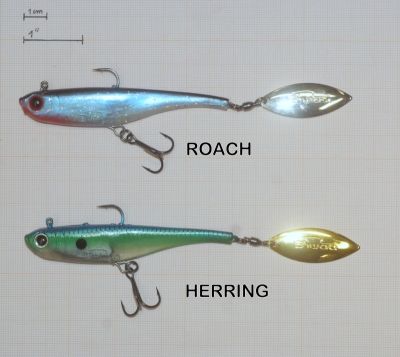 BIWAA DIVINATOR JR 14 CM PESO 22 GRAMMI