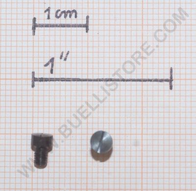 VITE PORTA CINGHIA DA 3.0 mm 