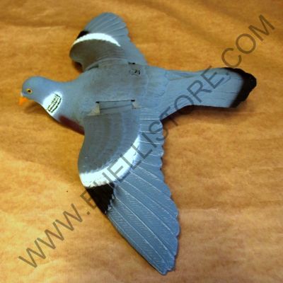 STAMPO COLOMBACCIO A CONCHIGLIA IN VOLO