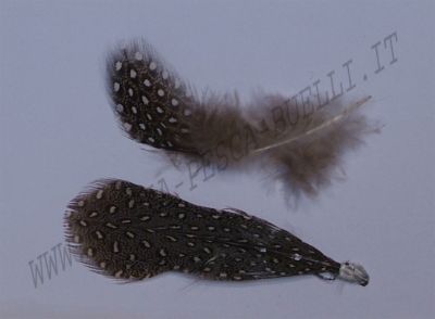 VENIARD FARAONA NATURAL PICCOLA