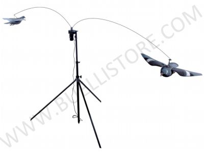 GIOSTRA PER 2 COLOMBACCI IN VOLO - STAMPI COLOMBACCI