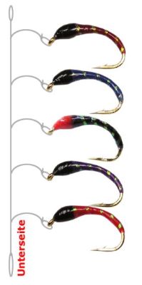 WEBSTA MONTATURE COREGONI A 5 AMI COLORATI - AMO 14 COL.HG01