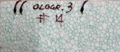 MONTATURA 10 AMI CON AMO DEL 14 - HOLOGRAFIC #3