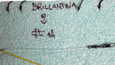 MONTATURA 10 AMI CON AMO DEL 14 - BRILLANTINATA 2 VIOLA, ROSSO, NERO E VERDE BOTTIGLIA