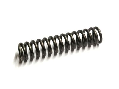 BENELLI MOLLA DEL CANE - PER SL80 / PASION / 121 M1 / 201