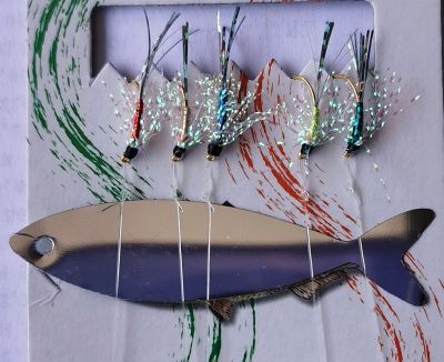 ALOSA MONTATURE 5 AMI VARI COLORI CON FLASH E01