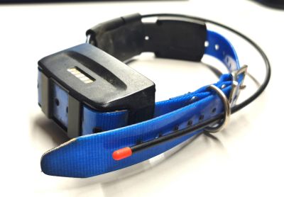 COLLARE BLU GARMIN KT 15x + CARICA BATTERIE  USATO