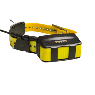COLLARE GIALLO USATO PER CANI CON RICEVITORE GPS K 5 - GARMIN 