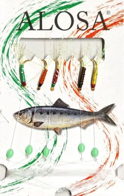 MONTATURA A 5 AMI MISTA CON DIVERSE MISURE DI AMO E DISTANZA TRA GLI AMI 