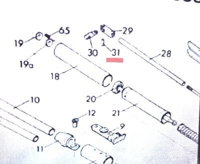 DIANA RICAMBIO 48 52 54 - C20368