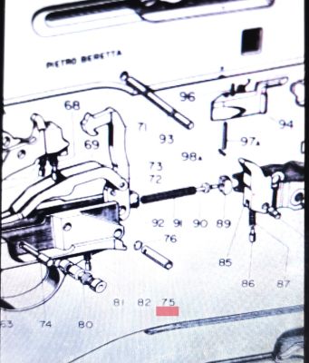RICAMBIO BERETTA BUSSOLA CANE A302 CAL.12/20 
