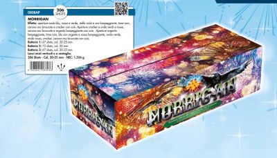 MORRIGAN-SPETTACOLO-206 COLPI (DURATA 2 MIN)