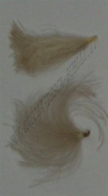 MAJORA CUL DE CANARD PUFFS - BLU BUN NATURAL