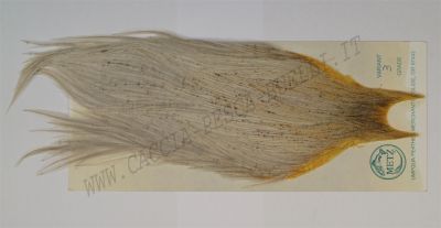 METZ COLLO 3?SCELTA VARIANT